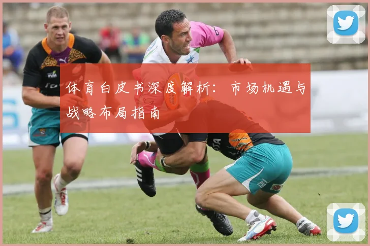 体育白皮书深度解析：市场机遇与战略布局指南
