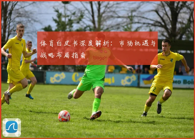 体育白皮书深度解析：市场机遇与战略布局指南