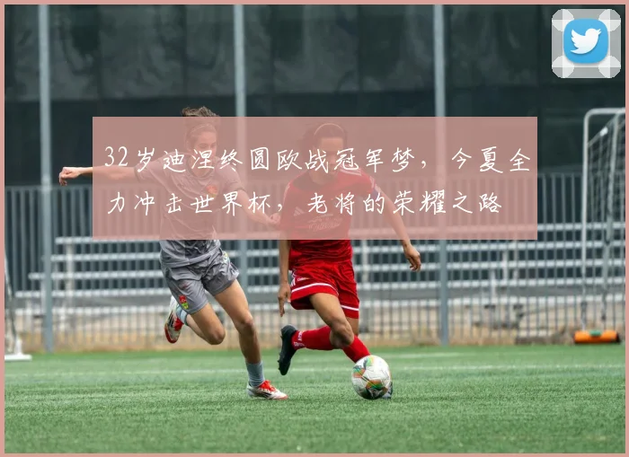 32岁迪涅终圆欧战冠军梦，今夏全力冲击世界杯，老将的荣耀之路